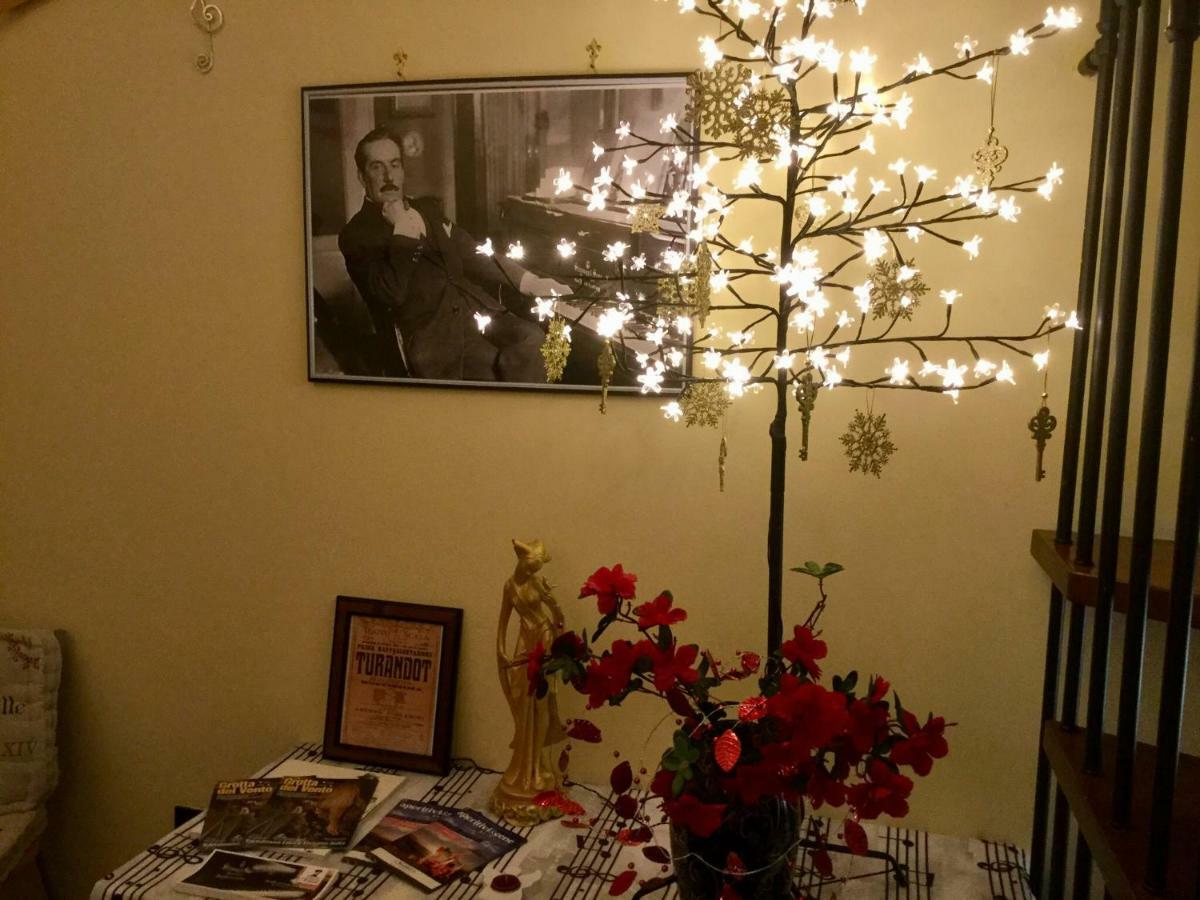 La Petite Maison Turandot Camaiore Εξωτερικό φωτογραφία